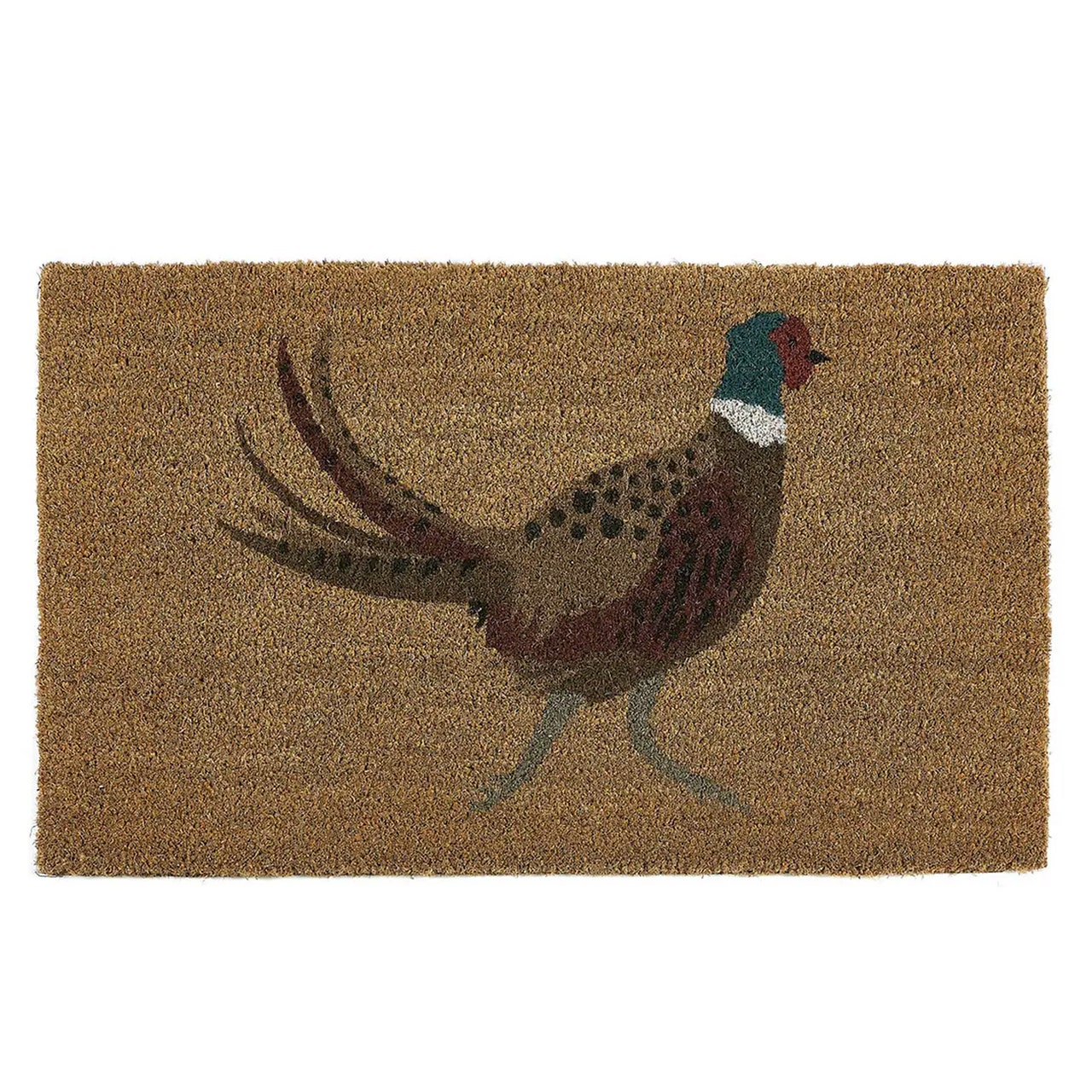 L’image peut contenir : tapis, paillasson, tapis, animal et oiseau