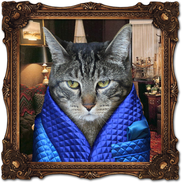 Dimanche avec des onglets le chat, mascotte de blog de maquillage et de beauté, vol.  729