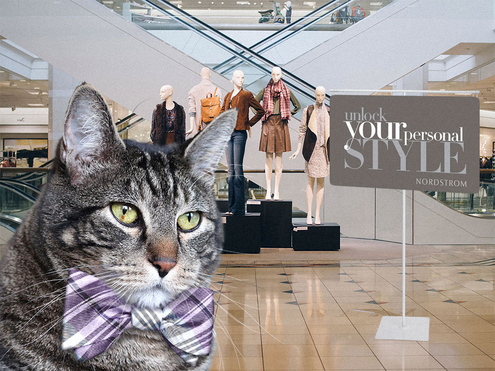 Dimanche avec des onglets le chat, mascotte de blog de maquillage et de beauté, vol.  729