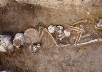 Les premières traces de consommation d'opium, trouvées en Israël, pourraient avoir été une "offrande aux dieux"