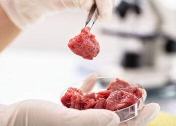 Viande cultivée en laboratoire : comment elle est fabriquée, durabilité et nutrition