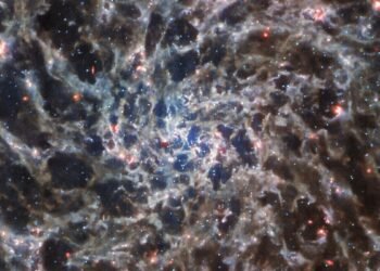 Le télescope James Webb révèle les «os» d'une galaxie lointaine dans une nouvelle image époustouflante