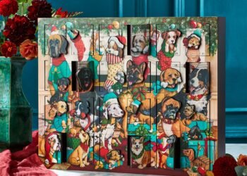 L’image peut contenir : plante, fleur, fleur, composition florale, design d’intérieur, intérieur et bouquet de fleurs