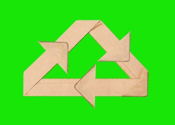 Comment faire des choix alimentaires respectueux du climat, selon la science