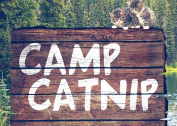 Dimanche avec des onglets le chat, mascotte de blog de maquillage et de beauté, vol.  726