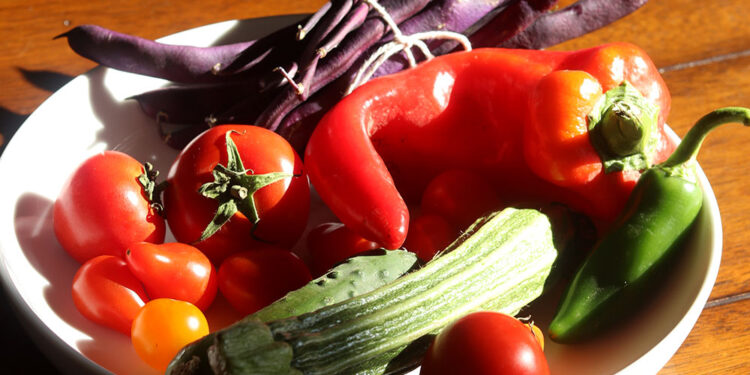 Enregistrement : le cadeau de légumes, de rouleaux de chou et de Chanel Tweed !