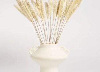 Fleurs séchées : 33 meilleures fleurs séchées à acheter en 2022