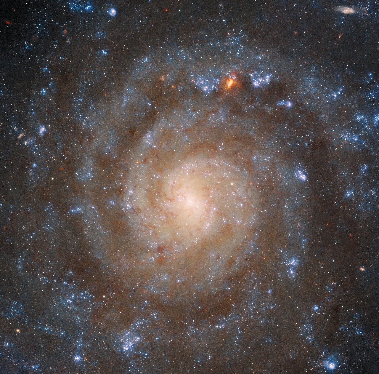 L'image de Hubble d'IC ​​5332 montre la structure de certains des bras spiraux masqués par des nuages ​​de poussière.