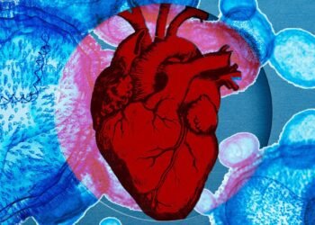 Monkeypox lié à une inflammation cardiaque chez un homme de 31 ans