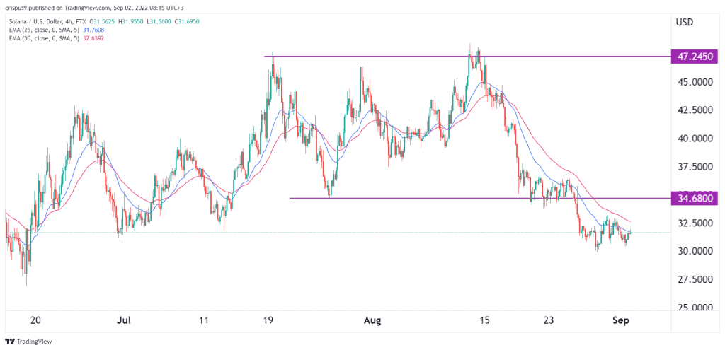 SOL Triple Top pointe vers un crash à 25 $ – Thebuzzly