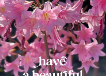 Surf du samedi 3 septembre 2022 !