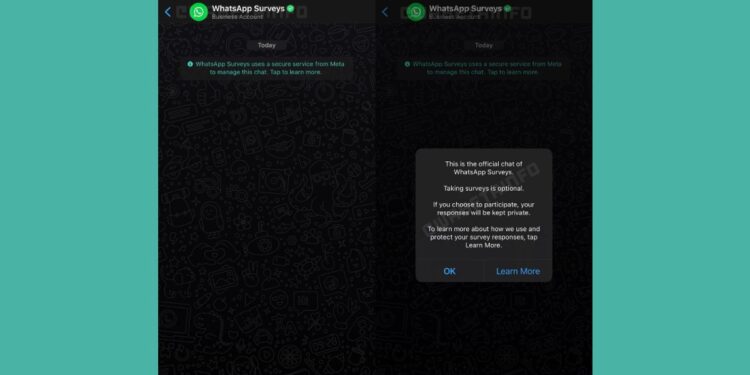 WhatsApp travaille sur des enquêtes intégrées à l'application, possibilité de s'envoyer des SMS à partir d'appareils liés : rapports