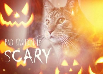 Dimanche avec des onglets le chat, mascotte de blog de maquillage et de beauté, Vol.  734