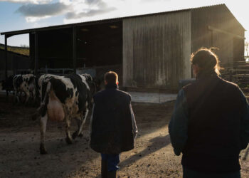 Un frein au recrutement de nouveaux agriculteurs bio