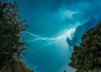 Les feuilles des plantes étincellent d'électricité pendant les orages - et cela pourrait altérer la qualité de l'air de manière imprévisible