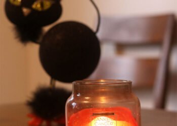 Surf du samedi 14 octobre 2022 !