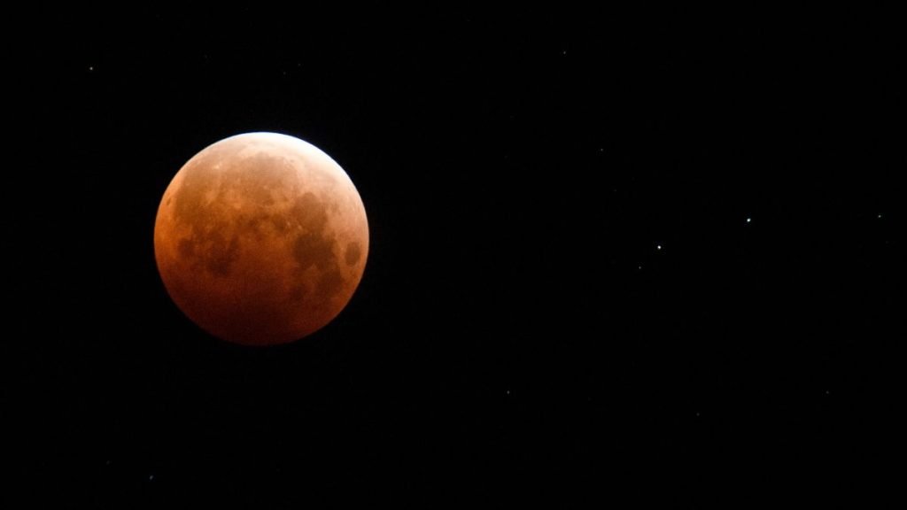 La "Beaver Blood Moon" se lève le 8 novembre. Voici comment regarder. – Thebuzzly