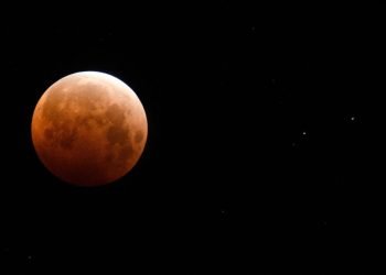 La "Beaver Blood Moon" se lève le 8 novembre. Voici comment regarder.