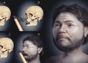 Un combattant médiéval est peut-être mort avec une hache "collée au visage", montre la reconstruction