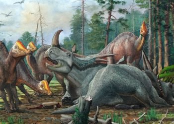 Des dinosaures à bec de canard adolescents se sont abattus sur eux-mêmes, formant des cliques