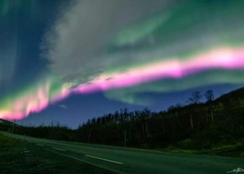 Aurores boréales roses très rares observées en Norvège : un spectacle magnifique