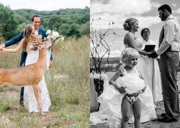 20 fois les invités ont volé la vedette aux mariés en photos