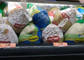 Vous avez du mal à trouver une dinde de 20 livres ?  Blâmez la grippe aviaire.