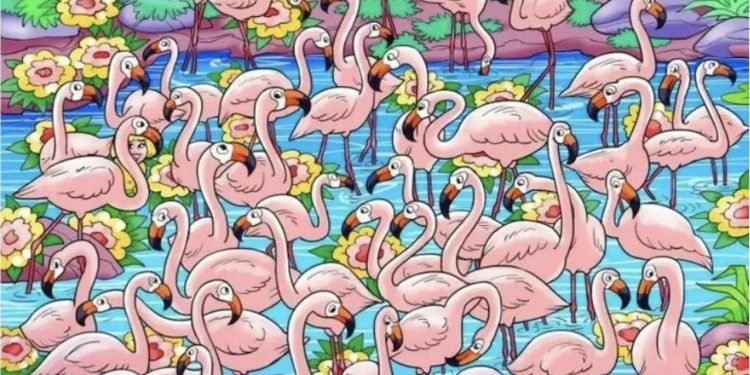 Vous devez trouver la petite fille cachée parmi les flamants roses