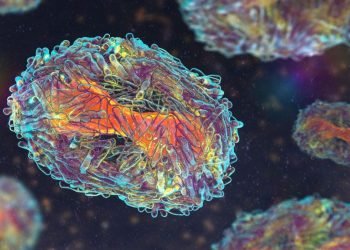 "Mpox" est le nouveau nom du monkeypox, selon l'OMS