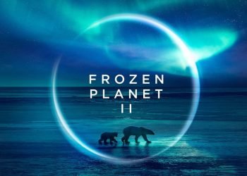 Comment regarder Frozen Planet 2: diffusez en ligne de n'importe où dans le monde