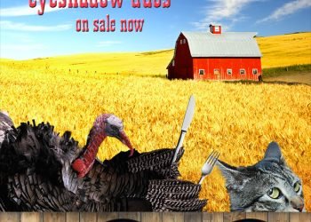 Dimanche avec des onglets le chat, mascotte de blog de maquillage et de beauté, vol.  735