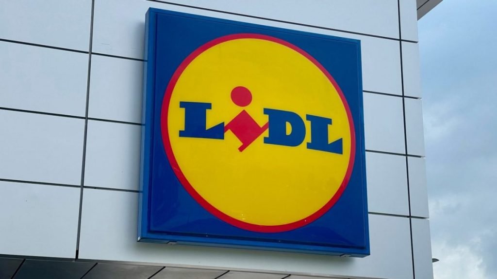 Pour faire ses courses avec un budget ultra-serré, cette maman a trouvé encore moins cher que... LIDL ! – Thebuzzly