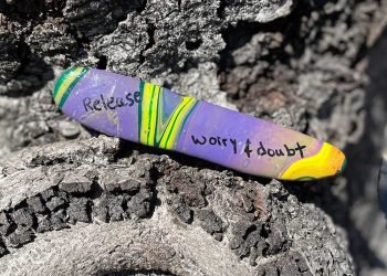 Surf du samedi 26 novembre 2022 !