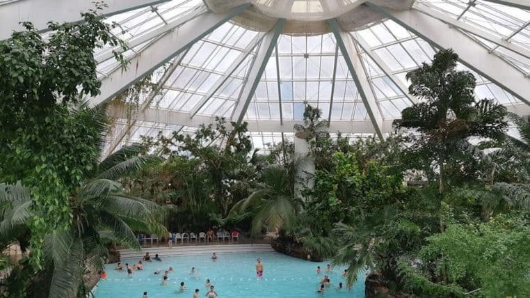 Un ancien salarié se penche sur les secrets de Center Parcs – Thebuzzly