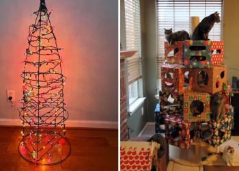 le meilleur des pires sapins de Noël