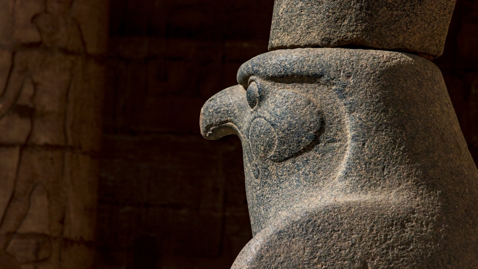 L'imagerie du faucon vue au sanctuaire du faucon de Bérénice pourrait signifier un certain nombre de divinités.  Cette sculpture de faucon provient d'Edfou, une ville sur le Nil au sud de Louxor.