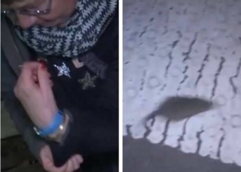 A la sortie du métro, elle trouve un rat dans sa manche, l'angoisse !  (vidéo)