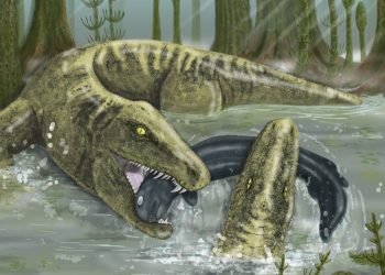 L'ancien superprédateur qui vivait il y a 328 millions d'années était "le T. rex de son temps"