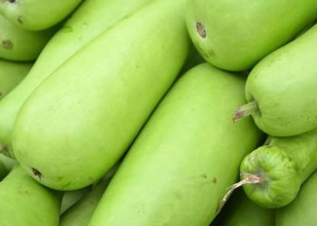 Une femme contracte un cas rare de «syndrome de courge toxique» après avoir bu du jus de courge amère