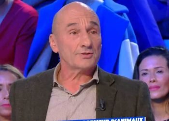 le dresseur accusé de maltraitance animale se défend sur TPMP (vidéo)