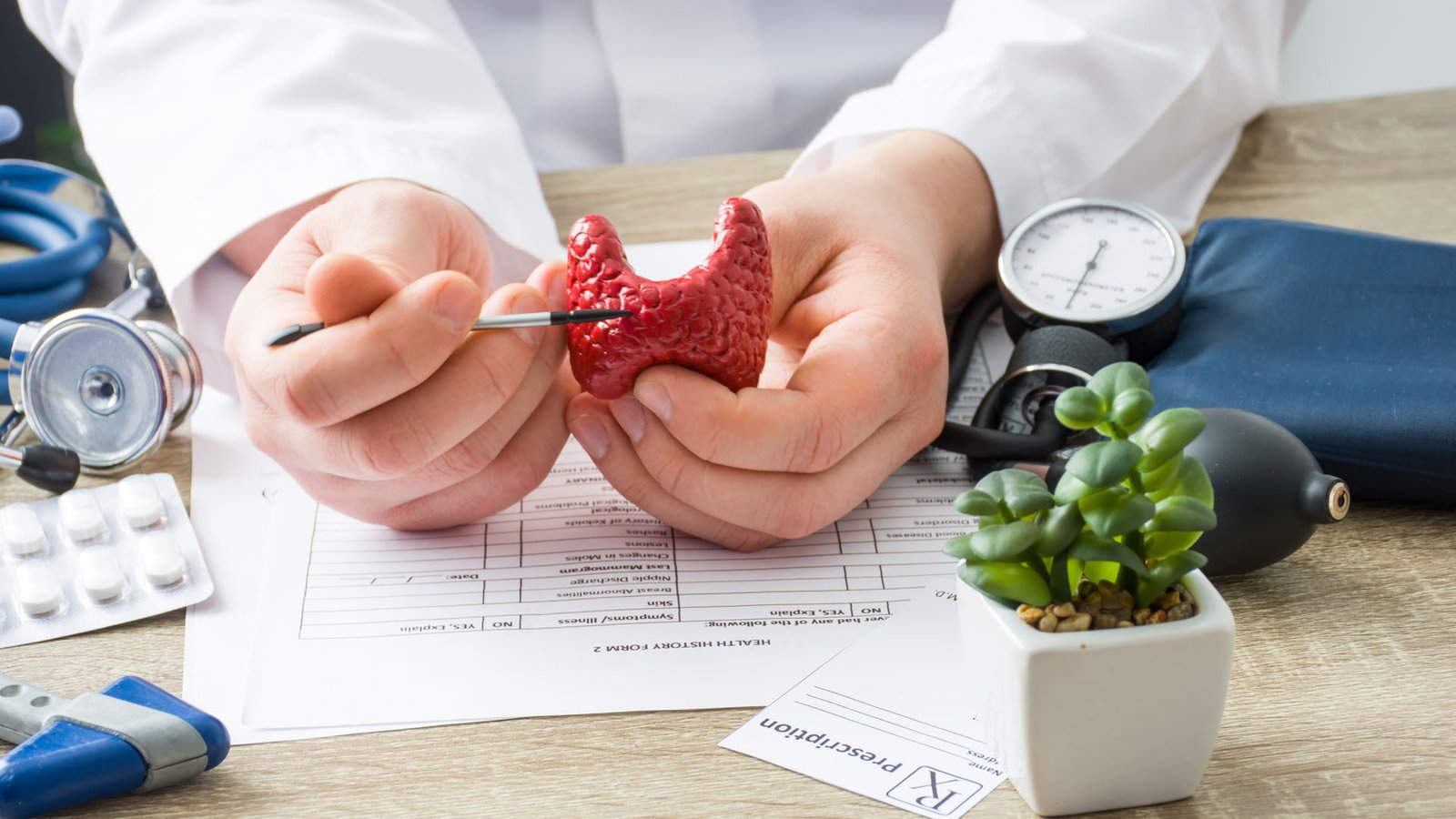 Au rendez-vous chez le médecin, le médecin montre au patient la forme de la glande thyroïde en mettant l'accent sur la main avec l'organe.