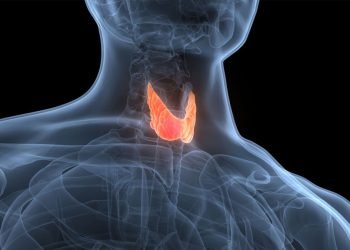 Hypothyroïdie (thyroïde sous-active) : causes, symptômes et traitement