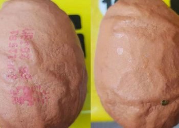 Lorsqu'il ouvre sa boîte d'œufs, il est complètement dégoûté par un œuf à la coquille froissée !