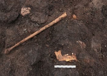 Un «corps de tourbière» vieux de 5 000 ans découvert au Danemark pourrait être une victime de sacrifice humain