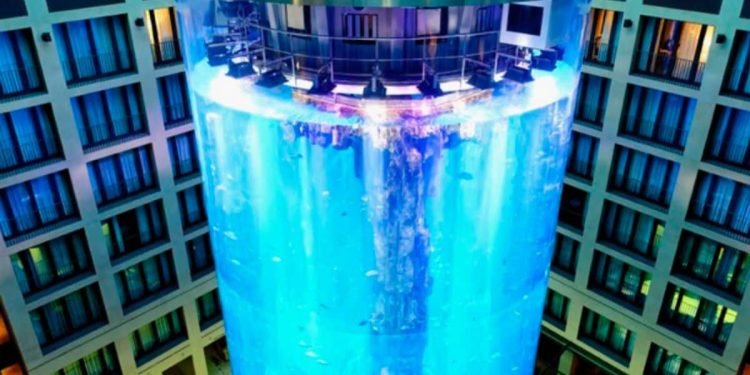 Un aquarium de 16 mètres de haut explose et sème la panique (vidéo) – Thebuzzly