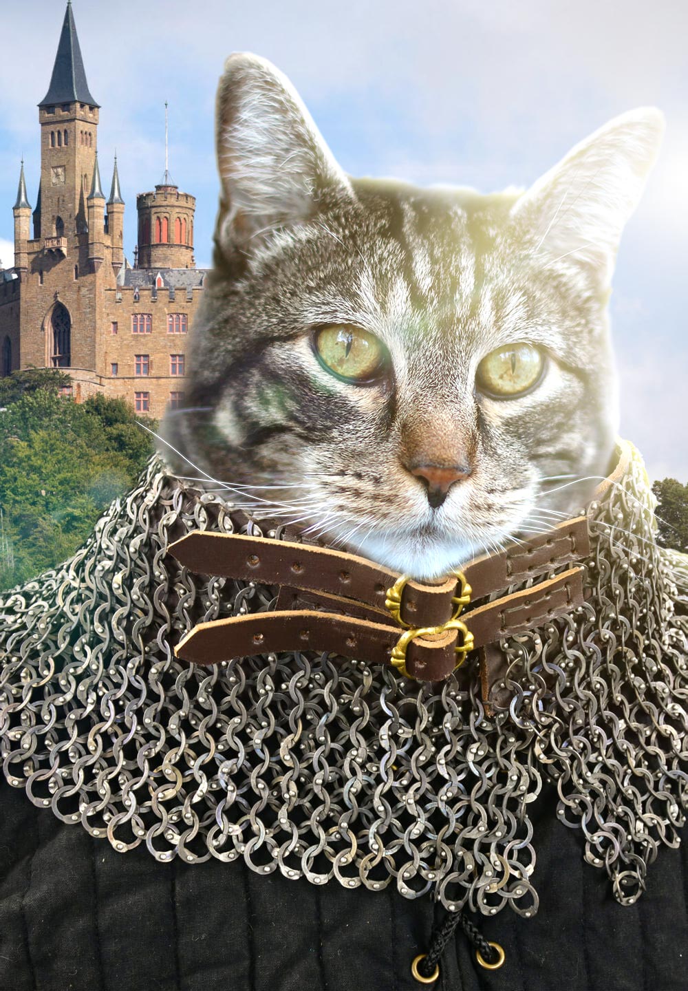 Dimanche avec des onglets le chat, mascotte de blog de maquillage et de beauté, Vol.  741