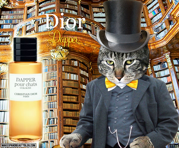 Dimanche avec des onglets le chat, mascotte de blog de maquillage et de beauté, Vol.  741