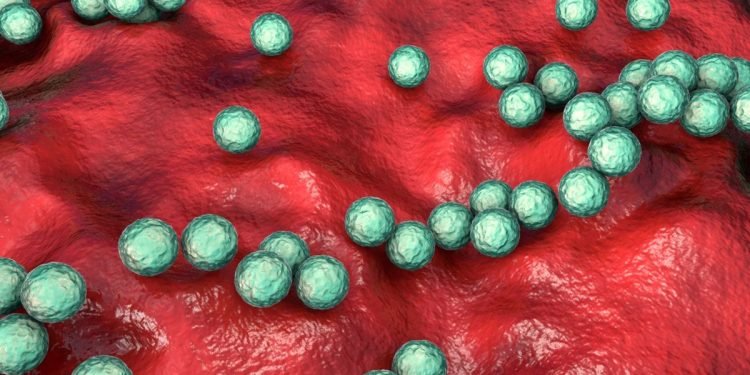 1671459241 Une Infection Streptococcique Dangereuse Qui Augmente Au Royaume Uni Pourrait Se