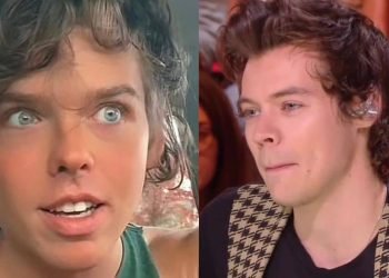Il prétend être un sosie de Harry Styles mais les internautes pensent qu'il ressemble à un chanteur célèbre