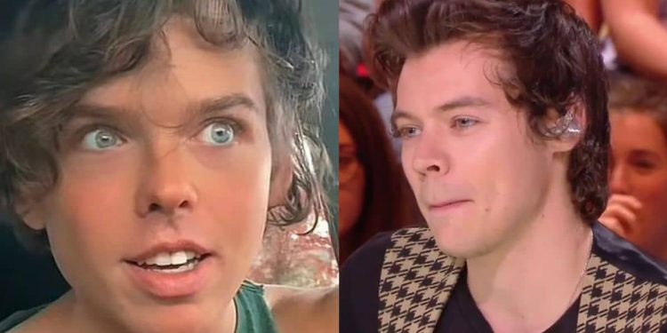 Il prétend être un sosie de Harry Styles mais les internautes pensent qu'il ressemble à un chanteur célèbre